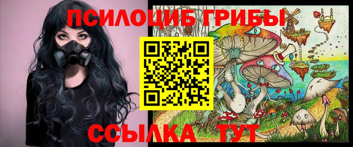 Псилоцибиновые грибы мухоморы  Галлюциногенные грибы MAGIC MUSHROOMS  Светлоград  как найти   Вход с VPN 