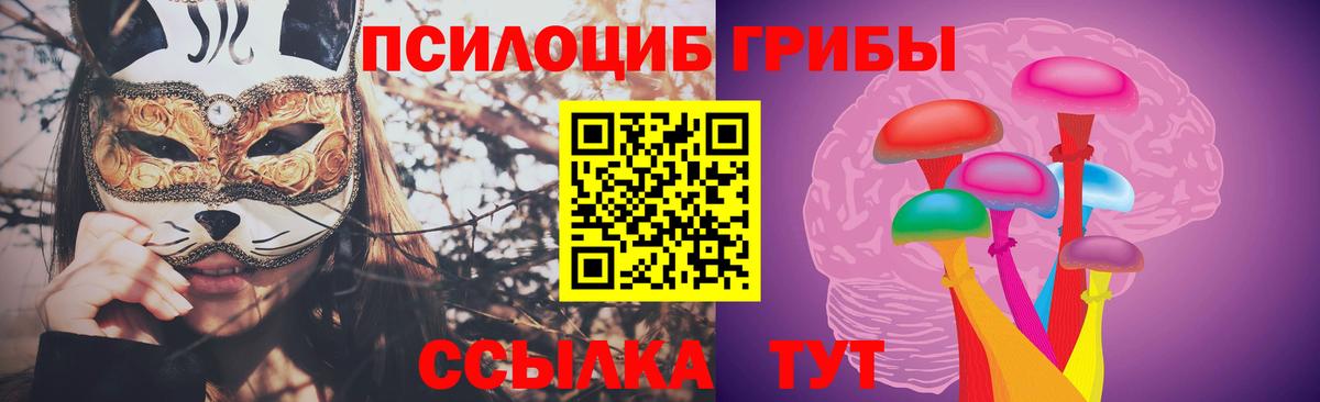 Галлюциногенные грибы мицелий Светлоград